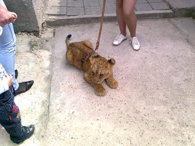 Прикрепленное изображение: Фото0060.jpg